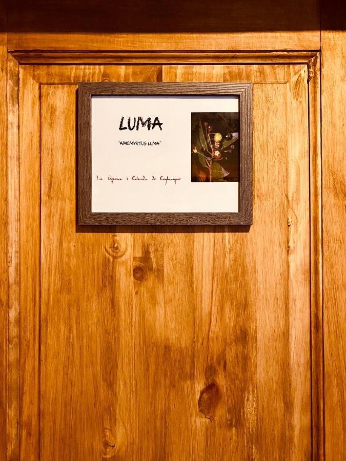 Hostal Esquina Patagonica Coyhaique Bagian luar foto